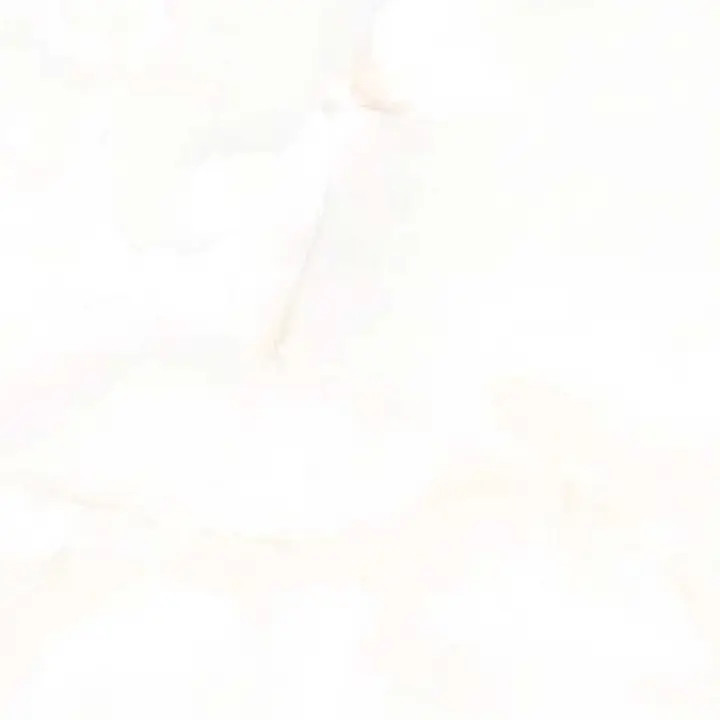 پرسلان الوند طرح لستر استخوانی پولیش 100*100